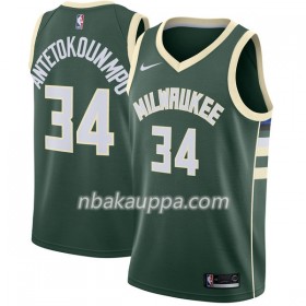 Milwaukee Bucks Giannis Antetokounm 34 Nike 2017-18 Vihreä Pelipaidat Swingman - Miesten